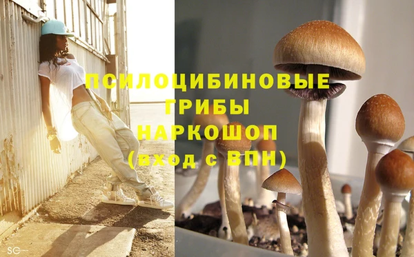 метамфетамин Алексеевка