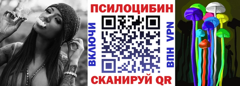 Псилоцибиновые грибы мицелий  блэк спрут ссылки  Ачхой-Мартан 